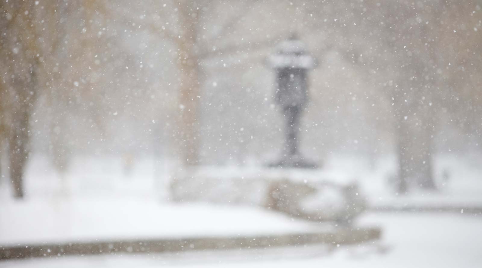 Let's go Tobogganing!